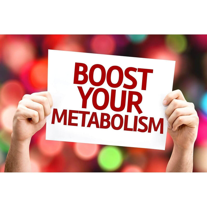 How To Increase Your Metabolism with Fast Protein